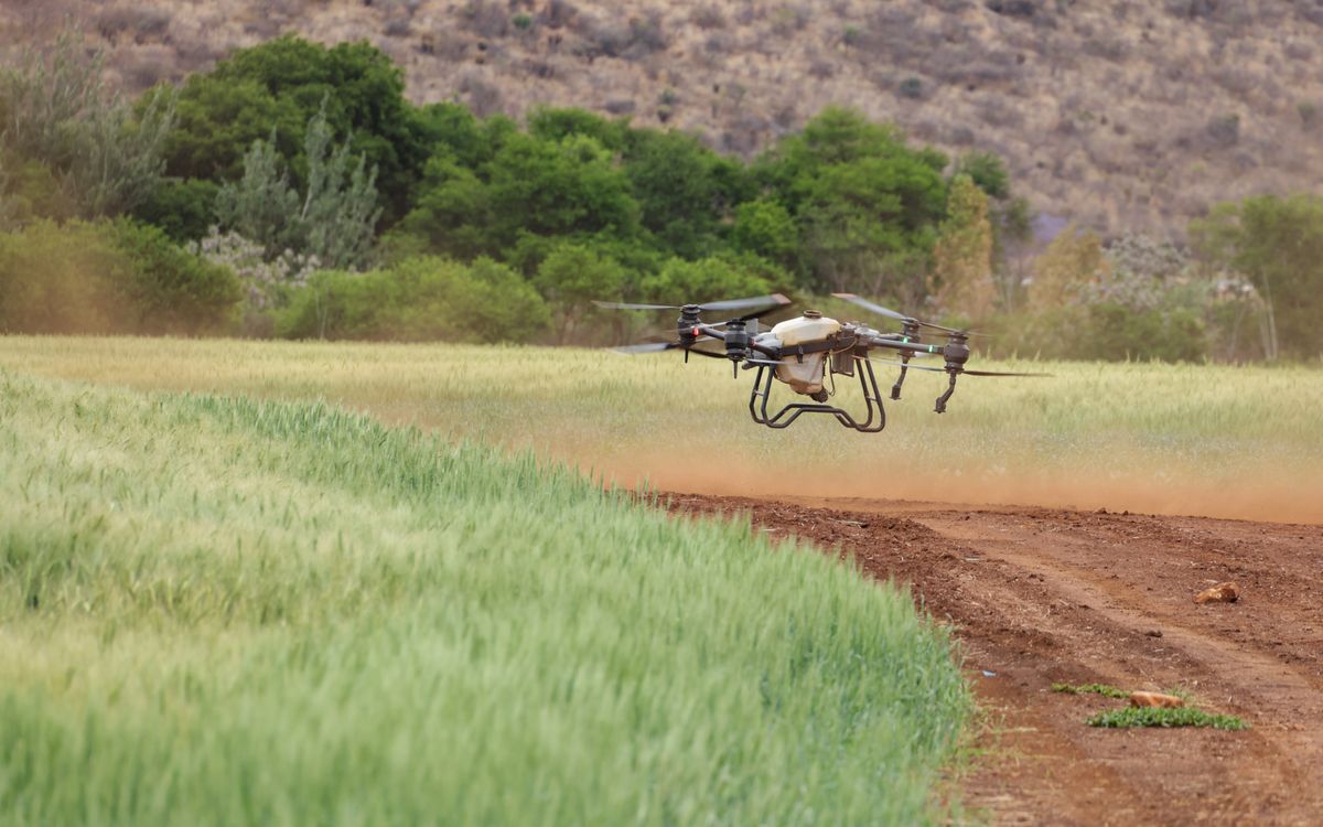 Farmland viewed with precision-agriculture technology